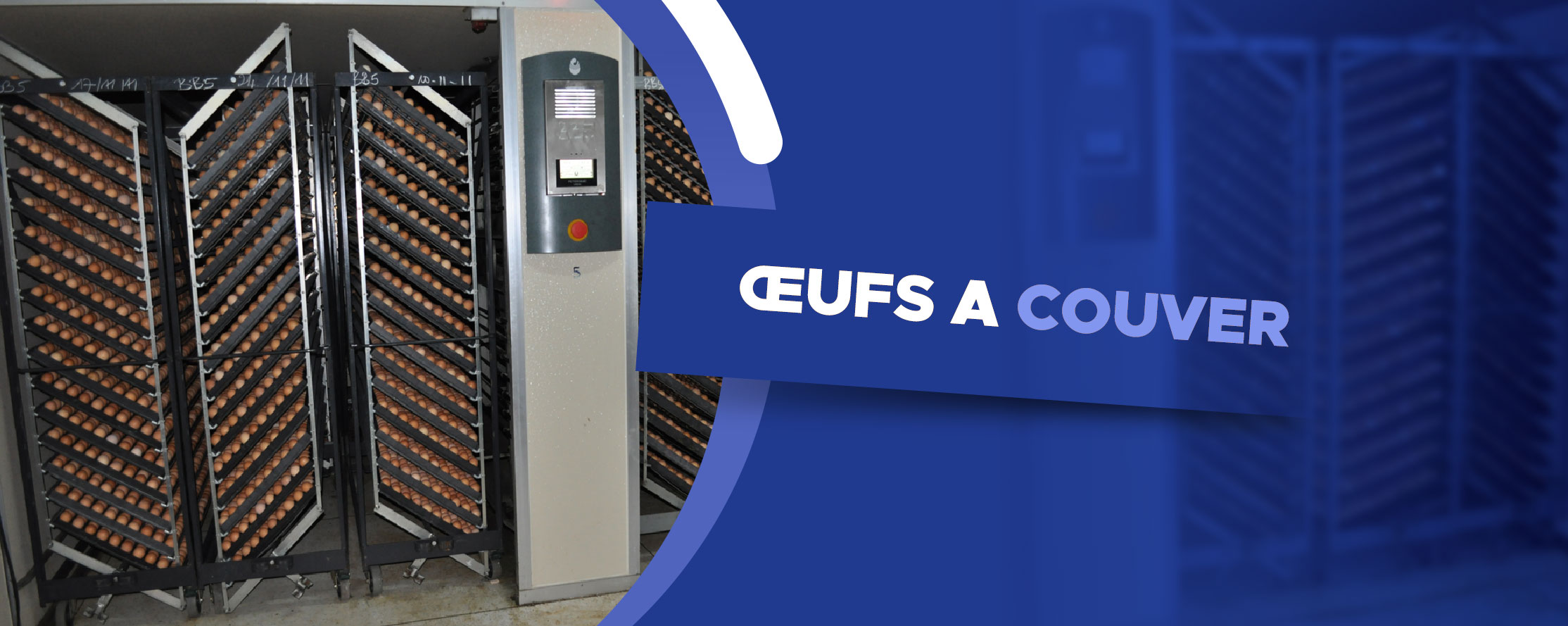 OEUFS A COUVERT