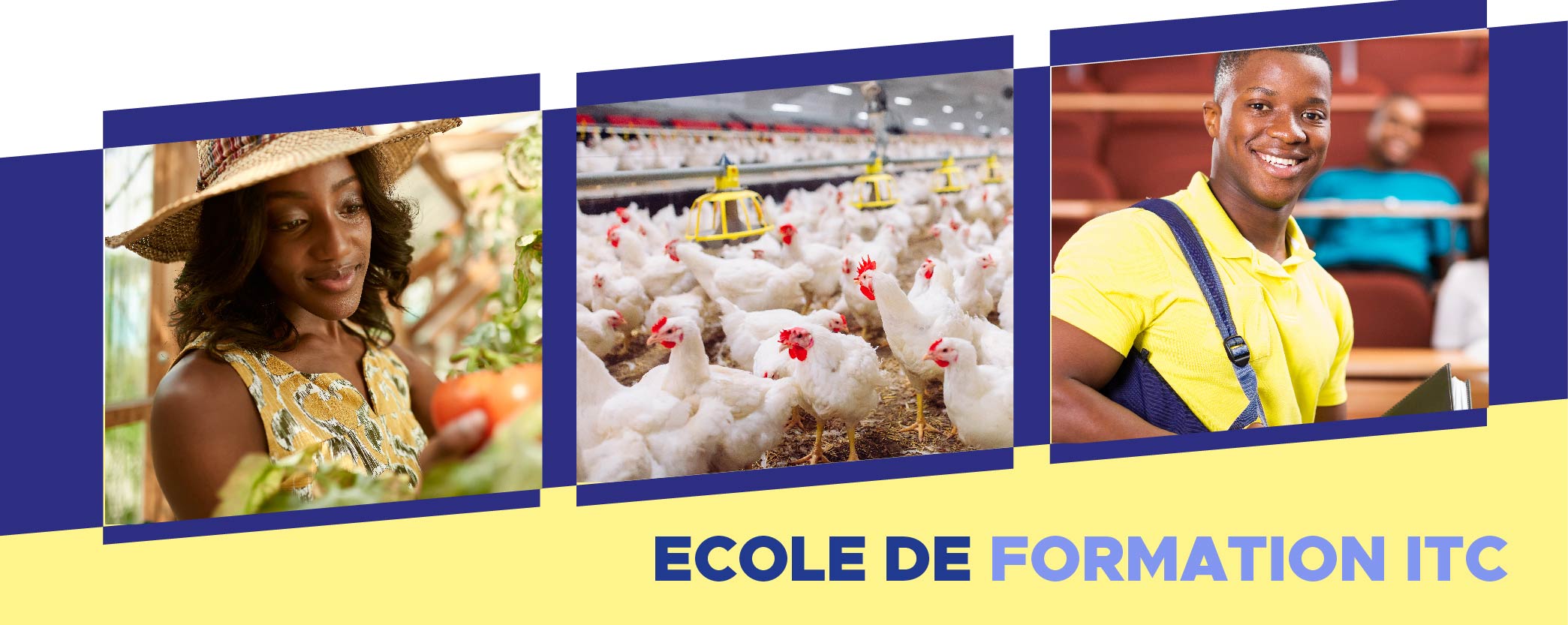 ECOLE