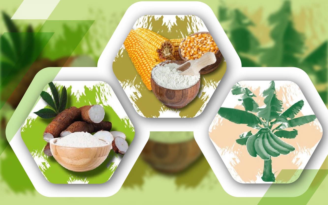 PRODUCTION DE FARINE DE MAIS ET DE MANIOC
