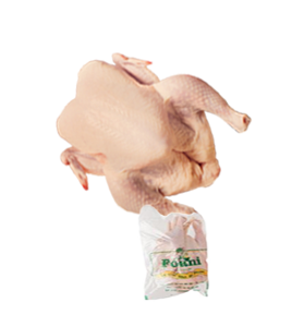 PONDEUSE 1,5KG / 1,6KG