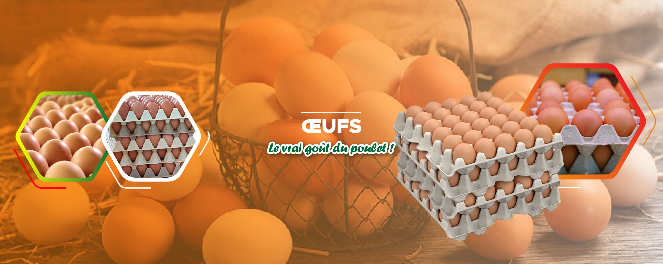 ŒUFS