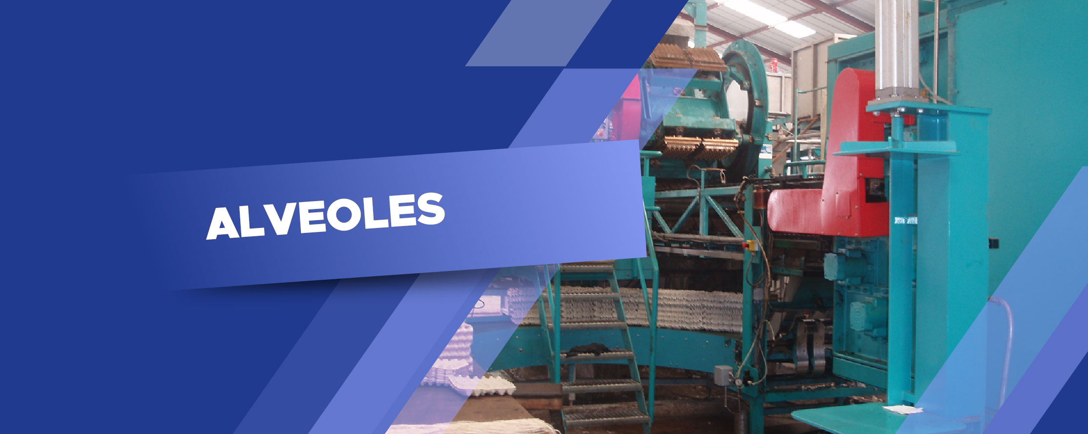 ALVEOLES