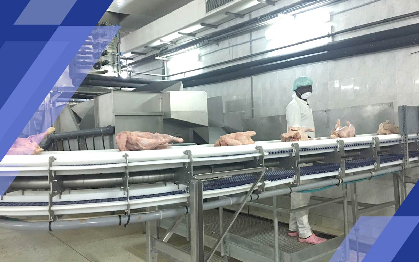 ABATTOIR MODERNE